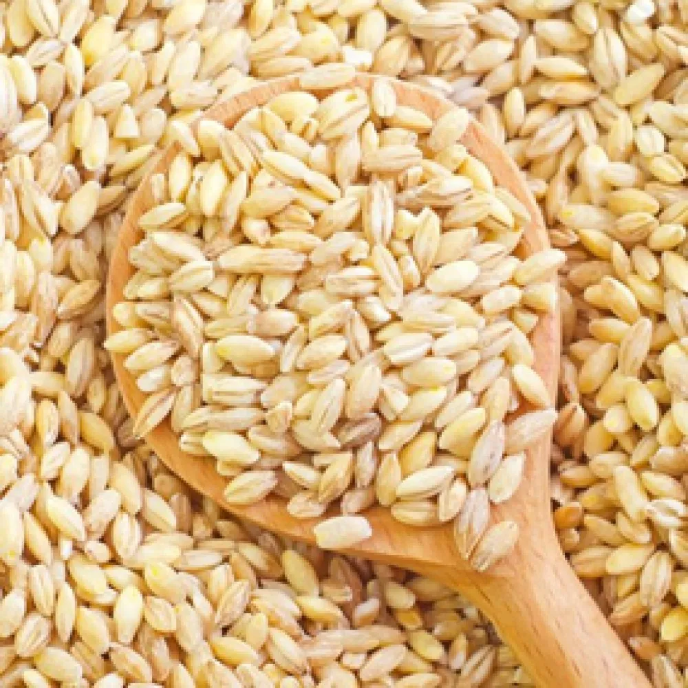 DURUM WHEAT