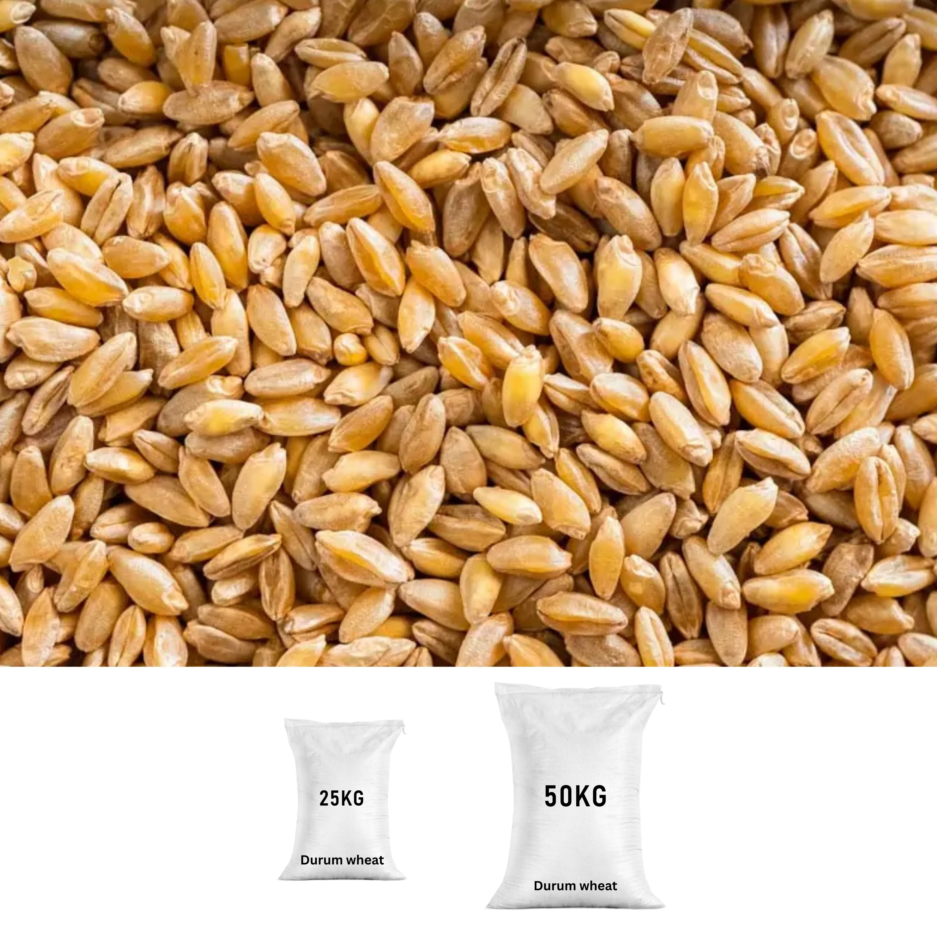 DURUM WHEAT
