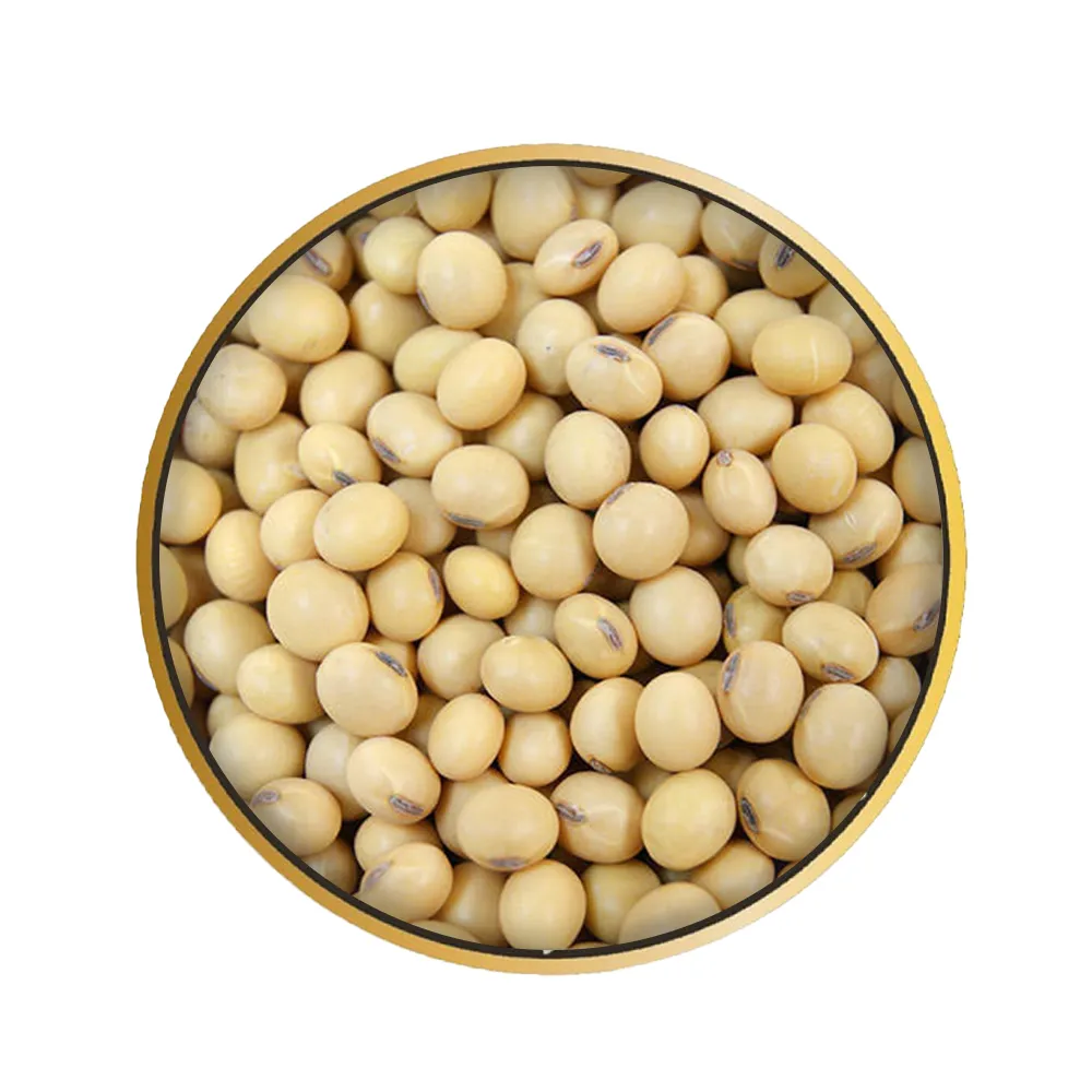 GMO SOYBEANS