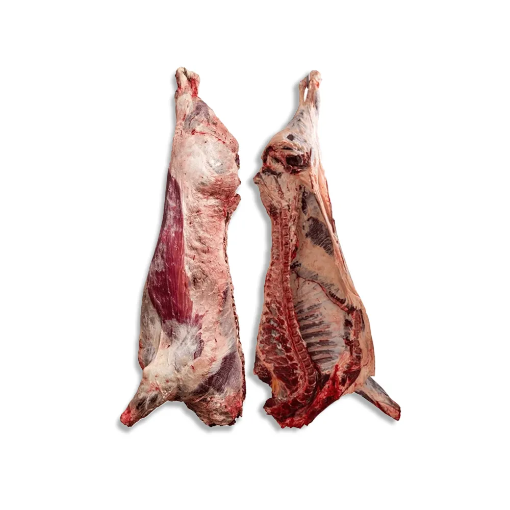 HALAL BEEF CARCASE