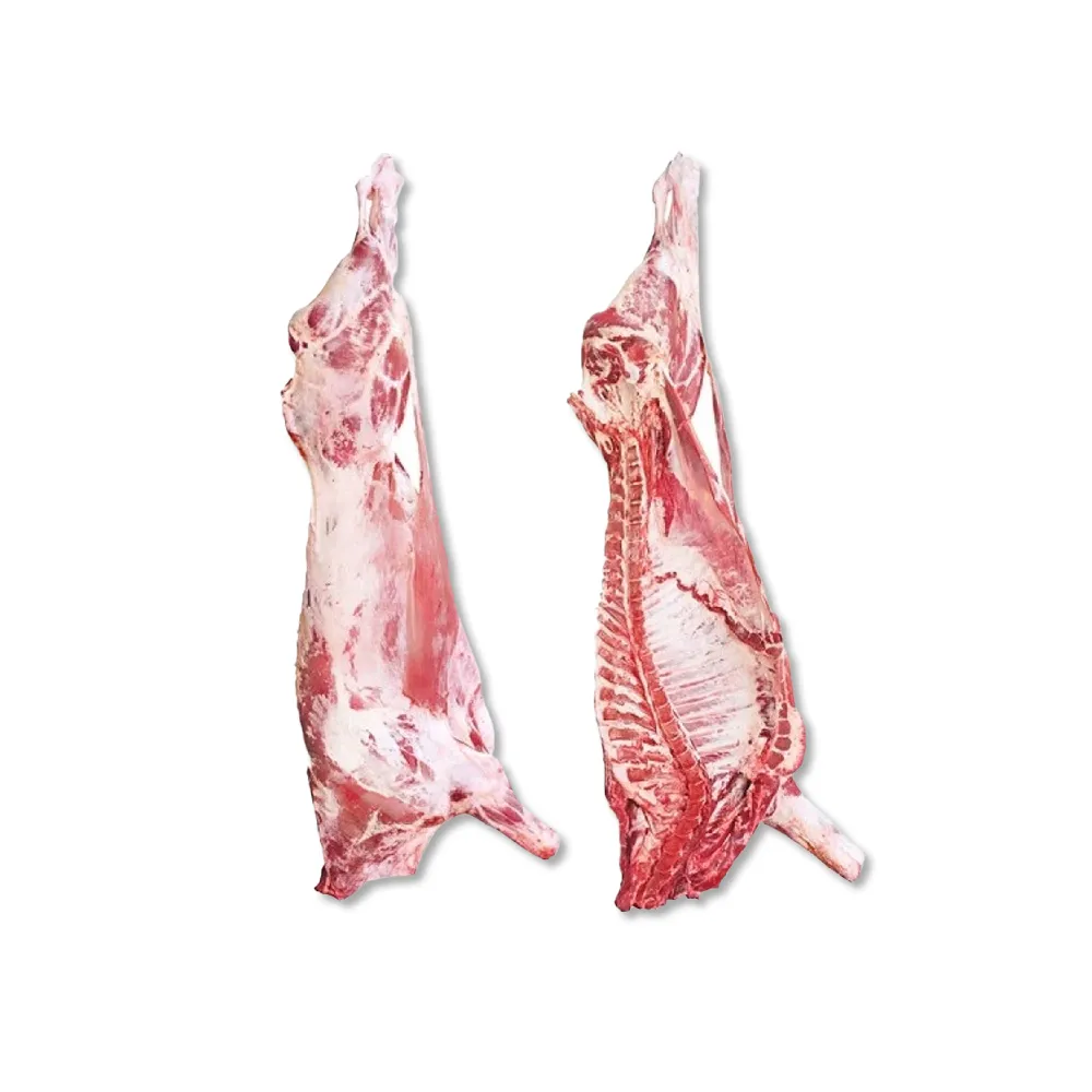 HALAL Whole Lamb Carcass