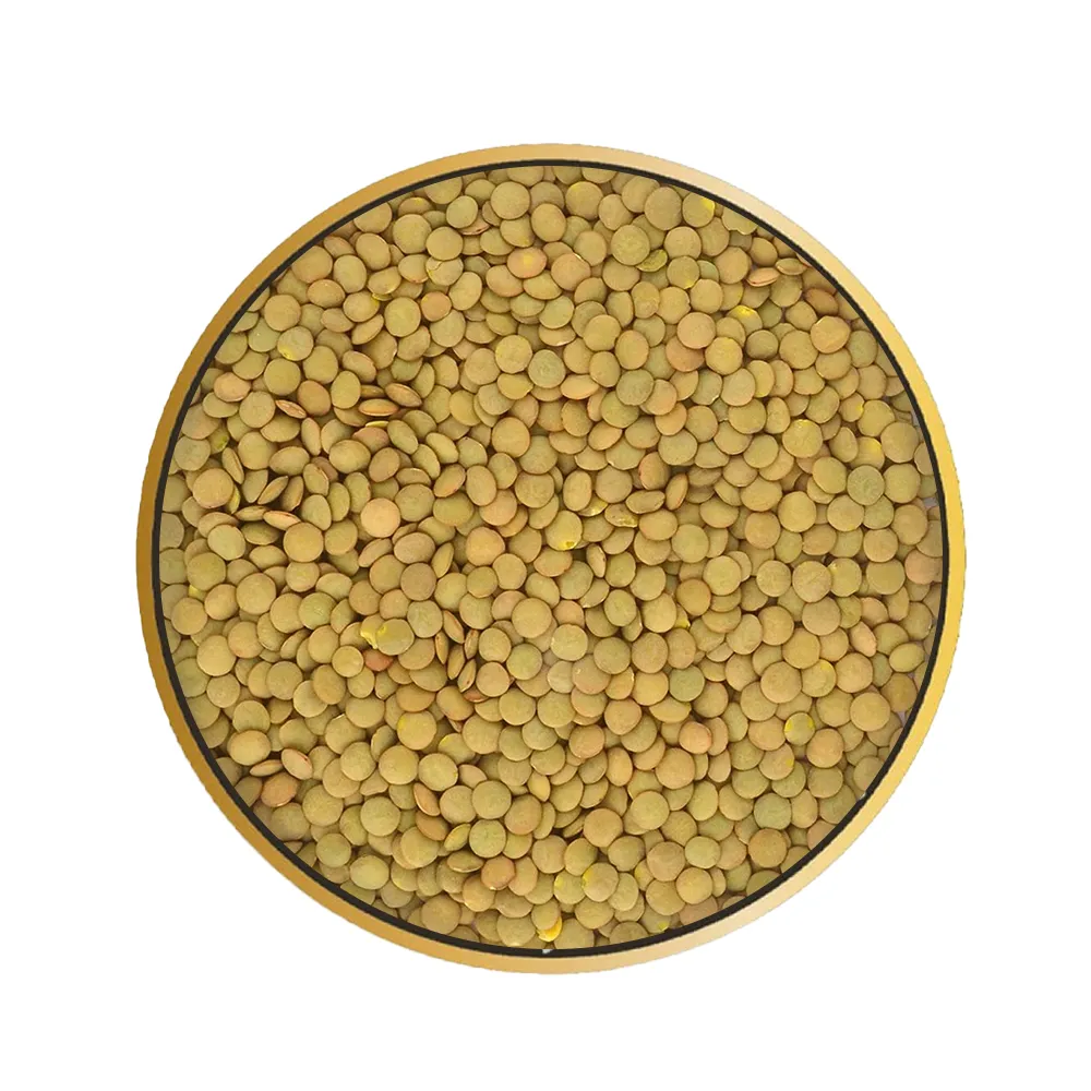 NON-GMO LENTILS