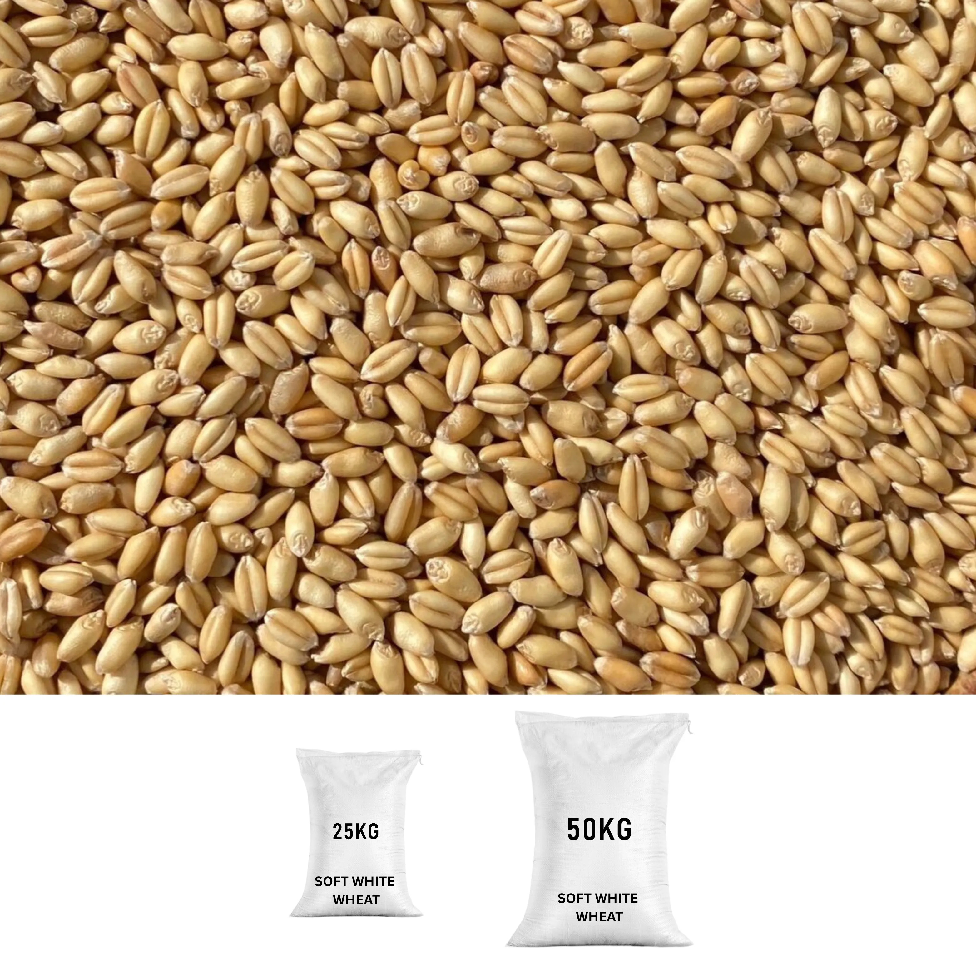 SOFT WHITE WHEAT