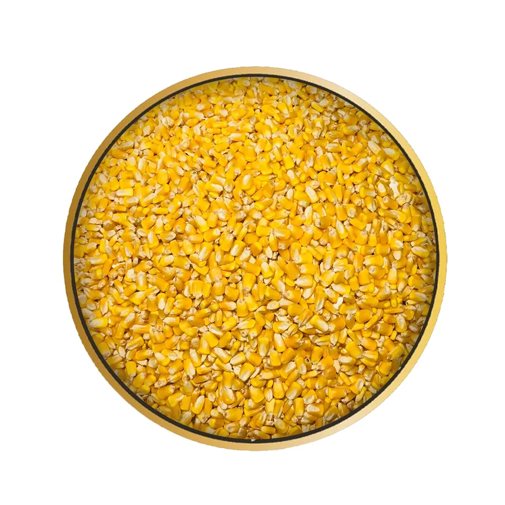 Yellow Corn animal feed